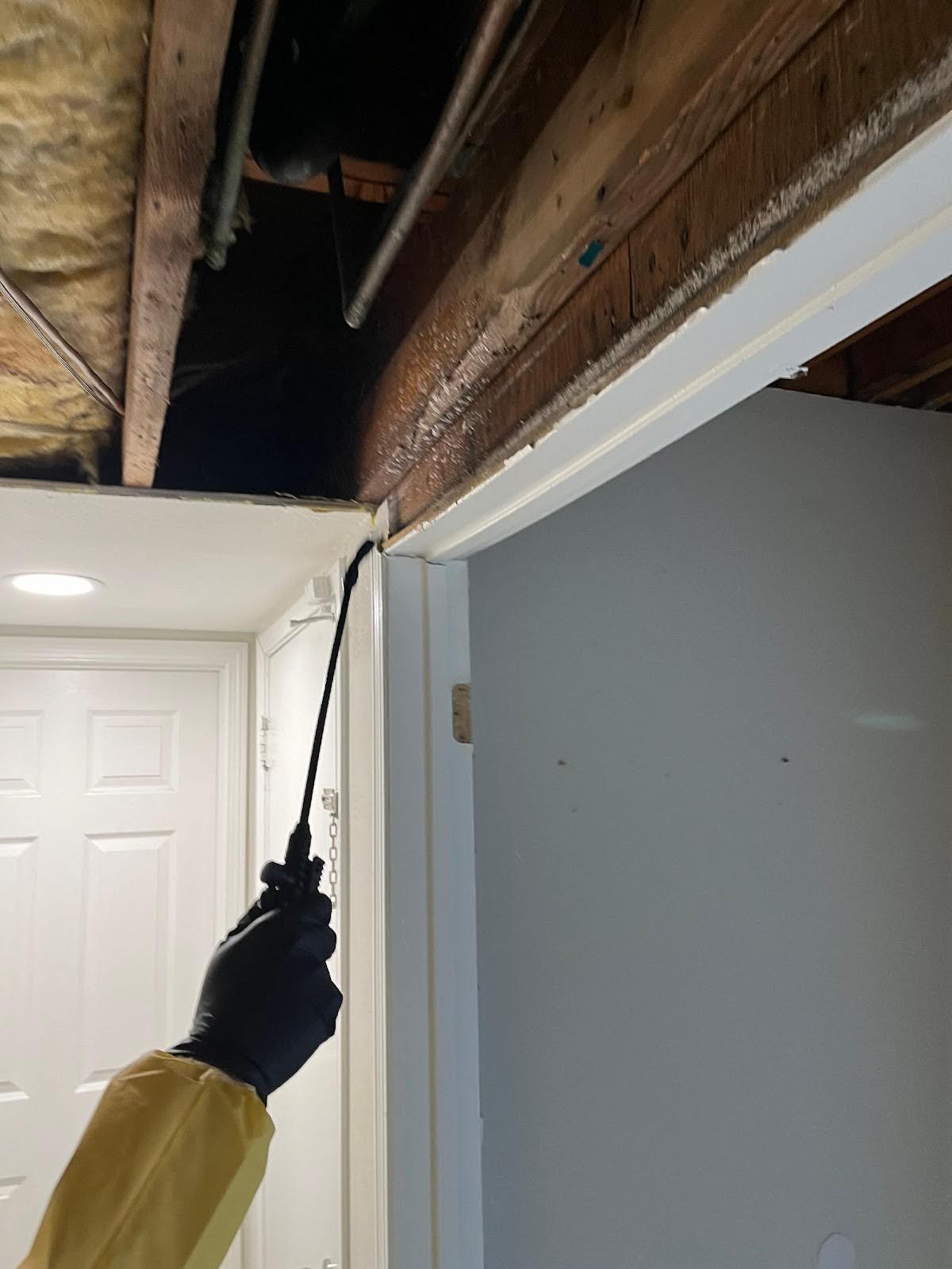 Advanced Mold Prevention in Rancho Cucamonga image