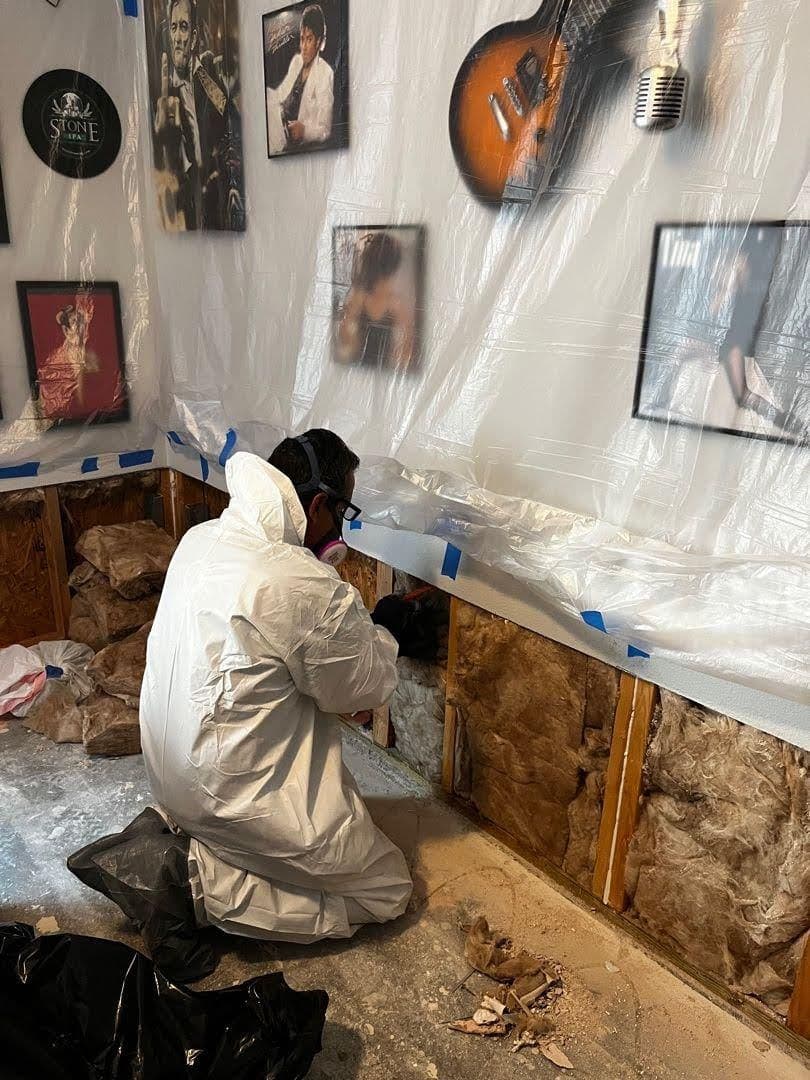 Expert Mold Remediation in Rancho Cucamonga image