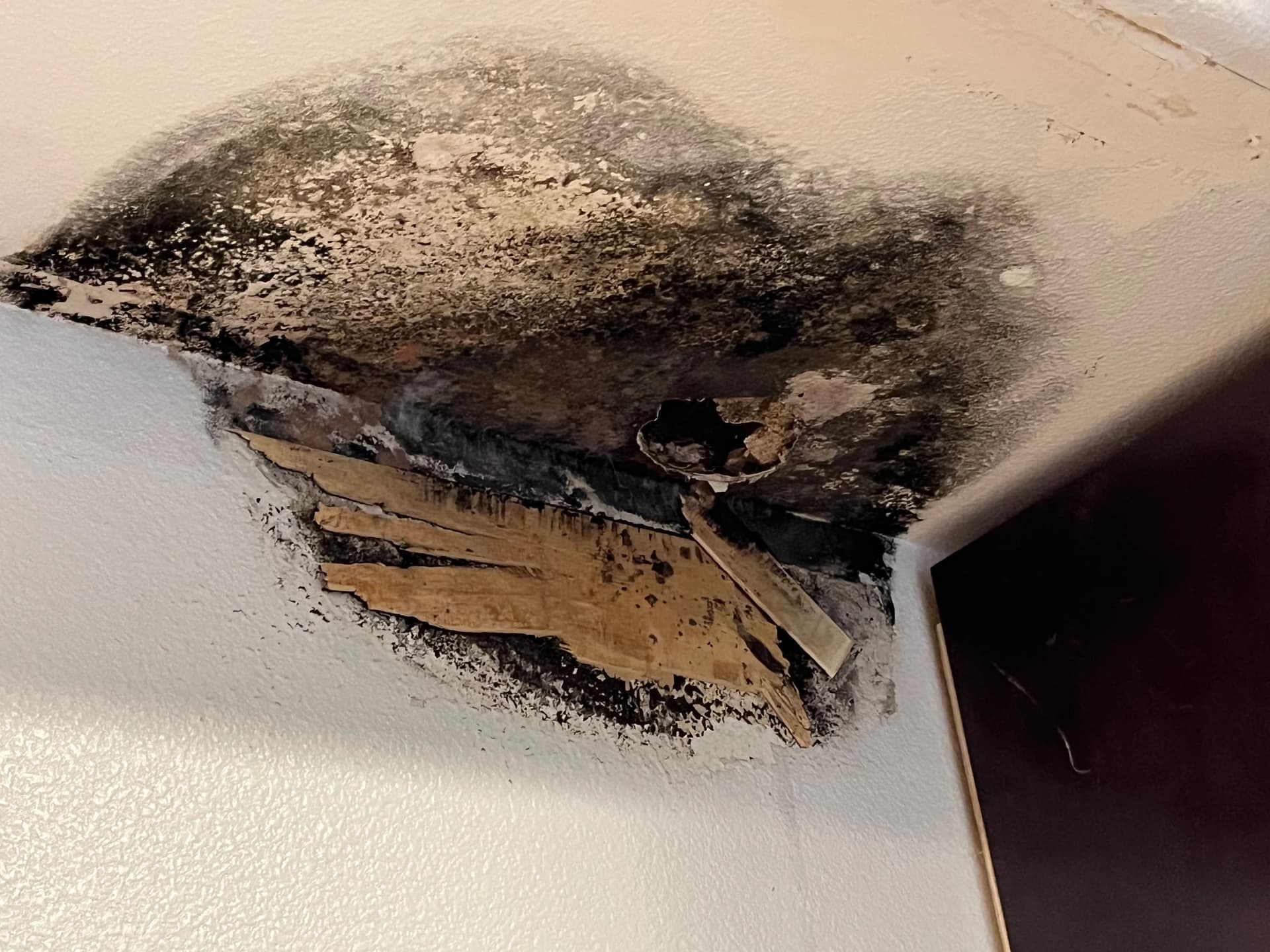 Gallery photos for Effective Kitchen Mold Remediation by Experts: Image #1