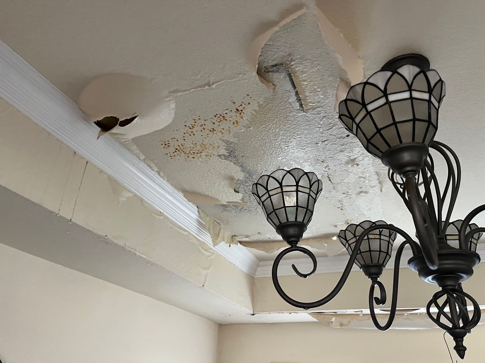 Swift Water Damage Restoration in Walnut image