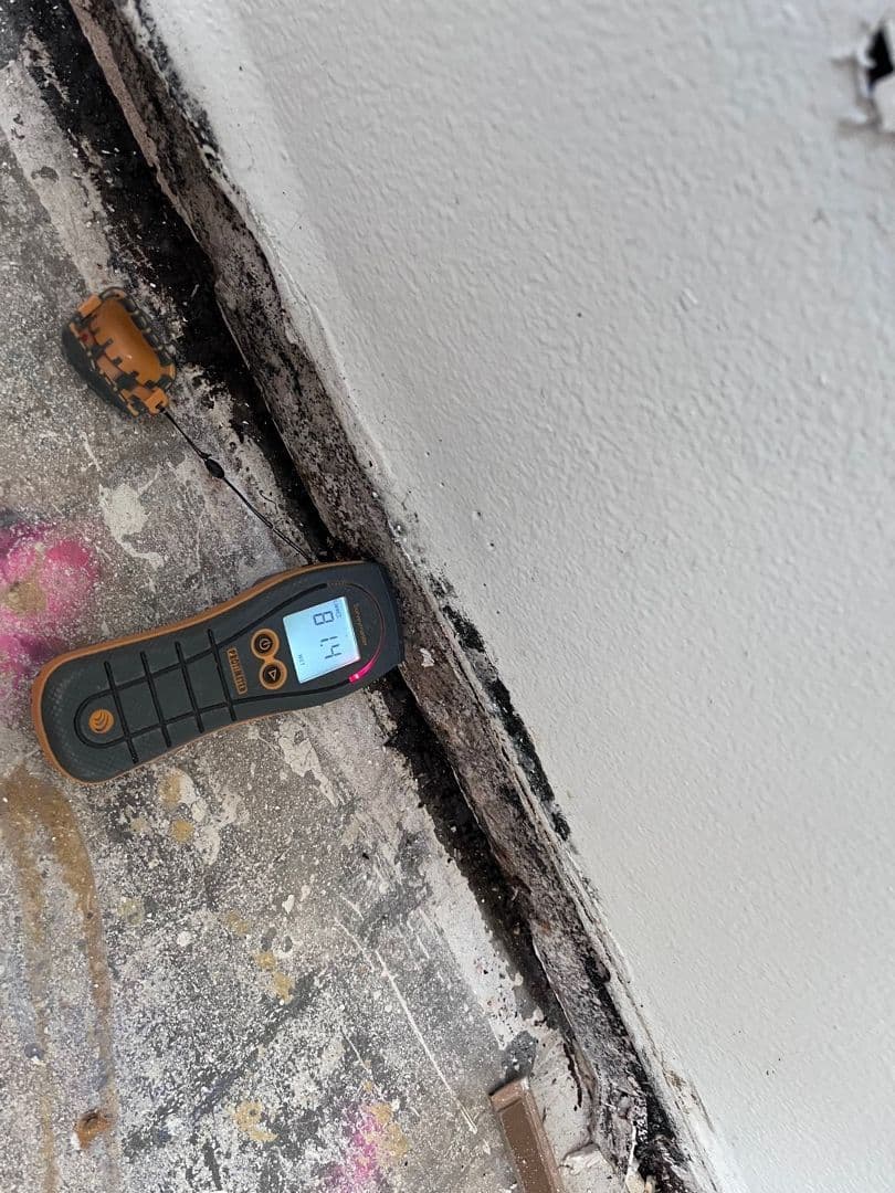 Effective Mold Remediation in Pomona image