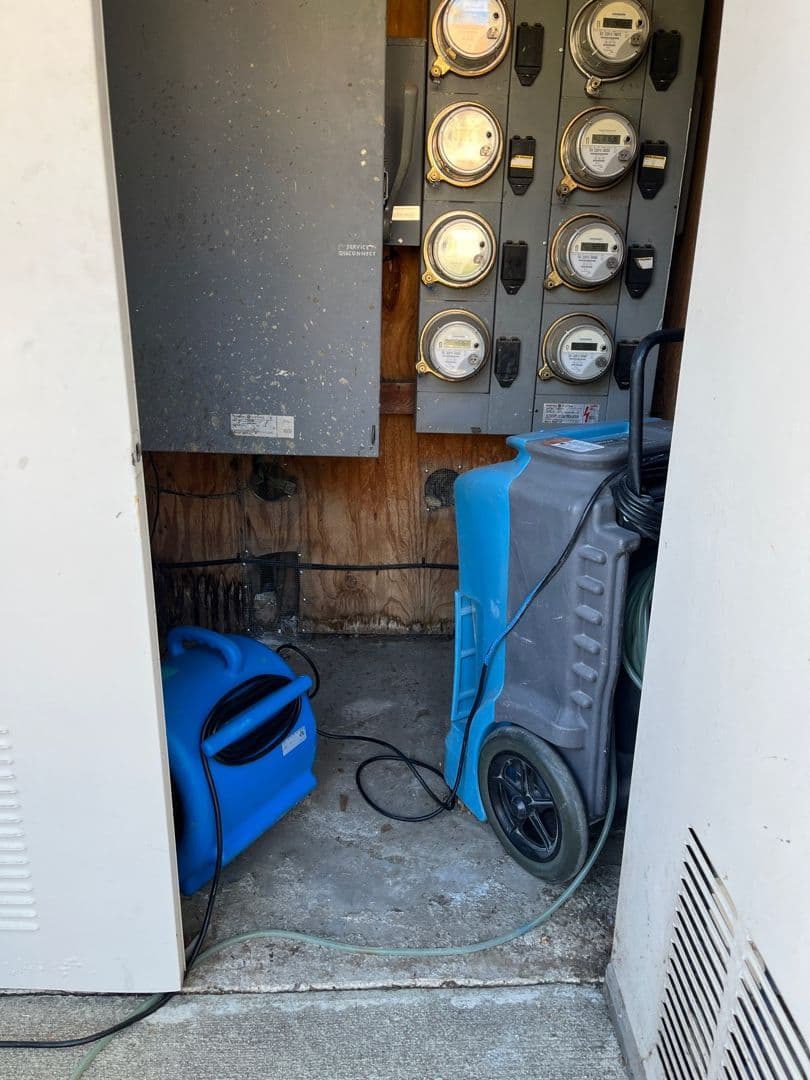 Efficient Water Damage Restoration in Fontana image