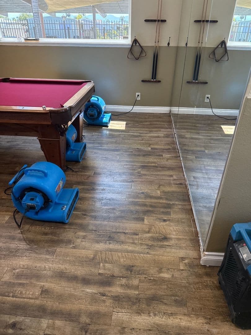 Gallery photos for Effective Mold Remediation in Chino: Image #1