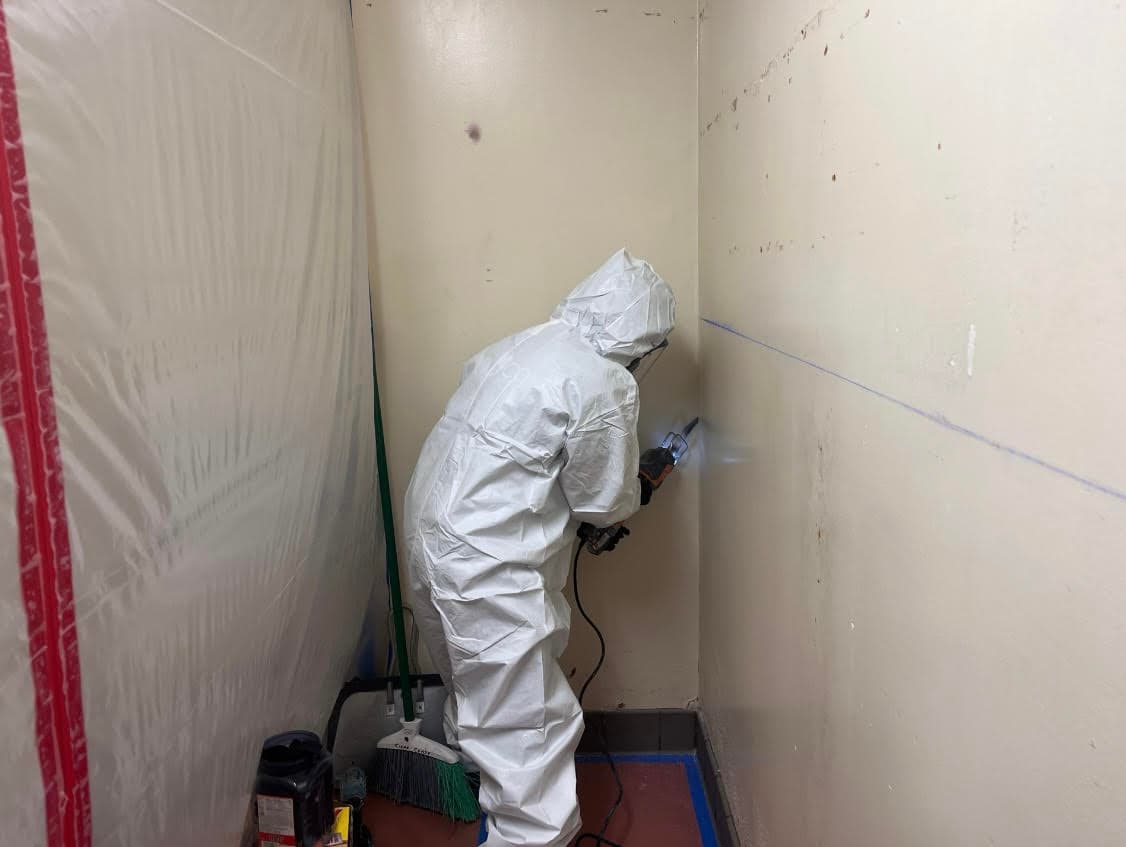 Expert Mold Remediation in Alhambra image