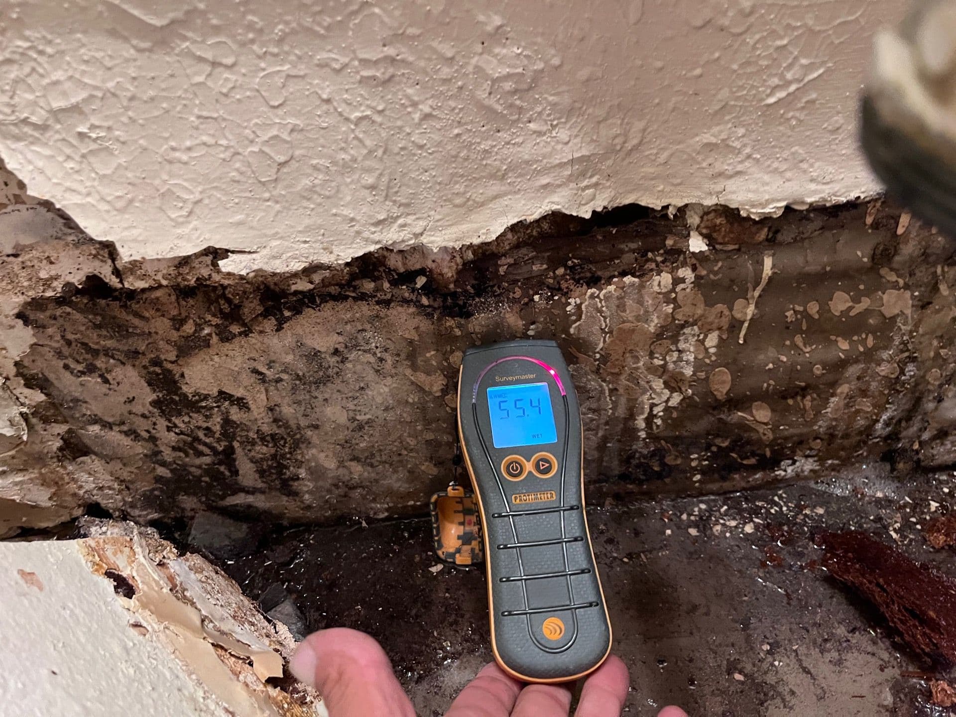 Blog post Understanding the Science of Water Damage: How Moisture Affects Your Home image