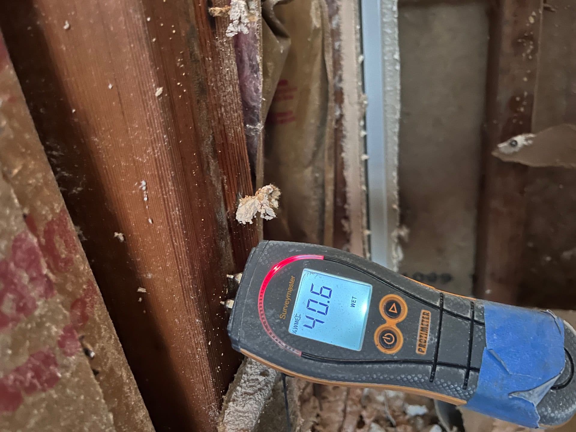 Gallery photos for Effective Water Damage Restoration in Corona: Image #1