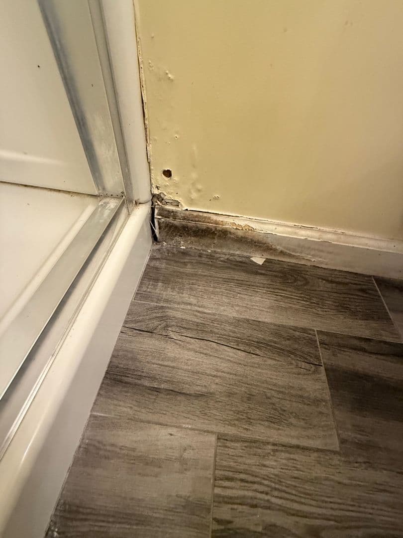 Mold Remediation Success in Norco CA image