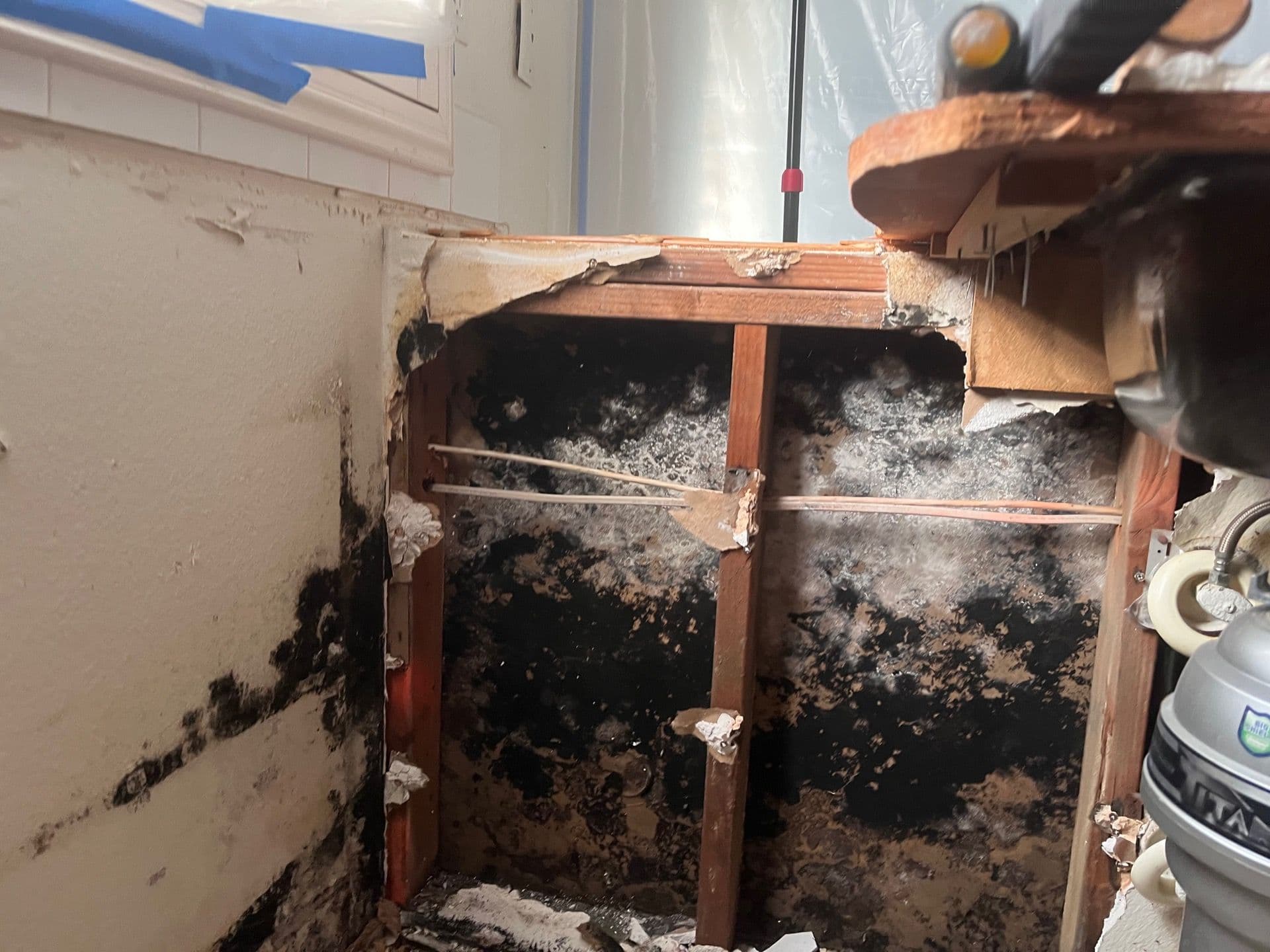 Blog post Top 7 Causes of Mold in Homes (That Most Homeowners Don’t Expect) image