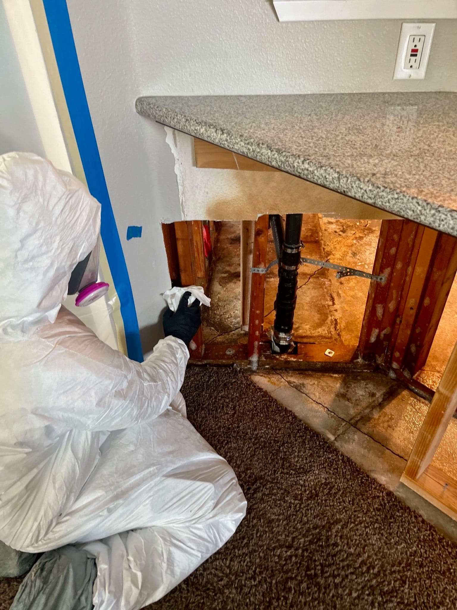 Expert Mold Remediation in Rancho Cucamonga image