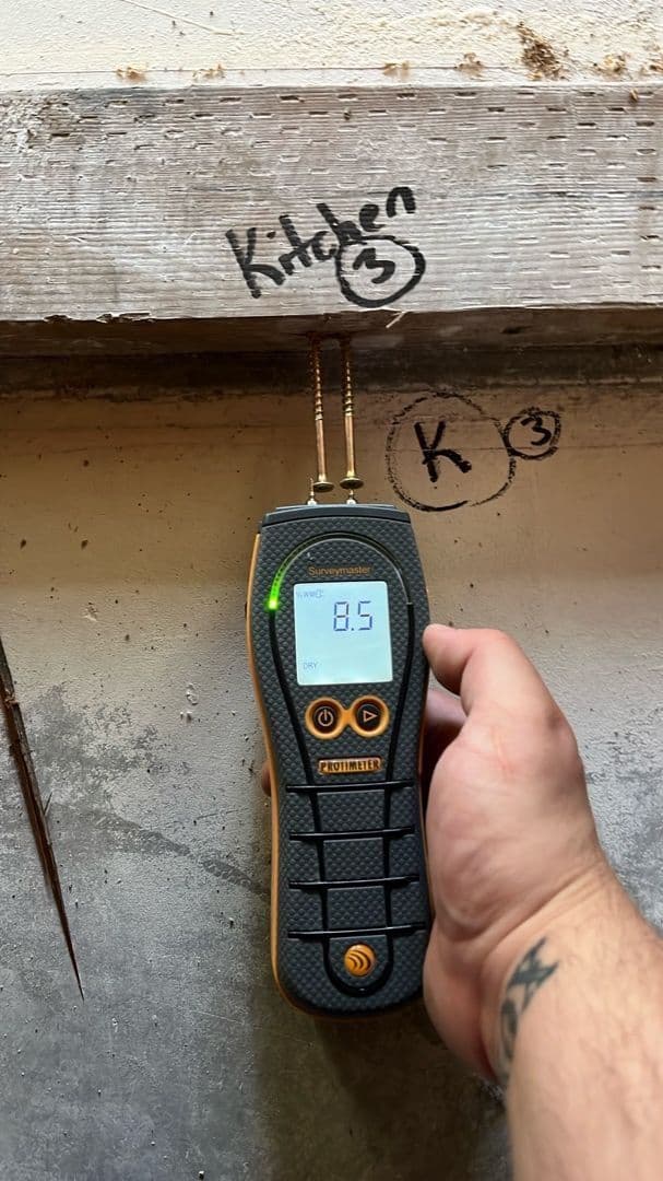 Gallery photos for Effective Water Damage Restoration Techniques: Image #1