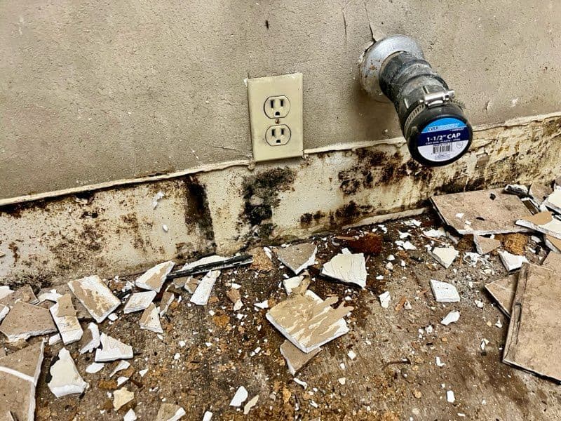 Mold Remediation Success in Upland Kitchen image