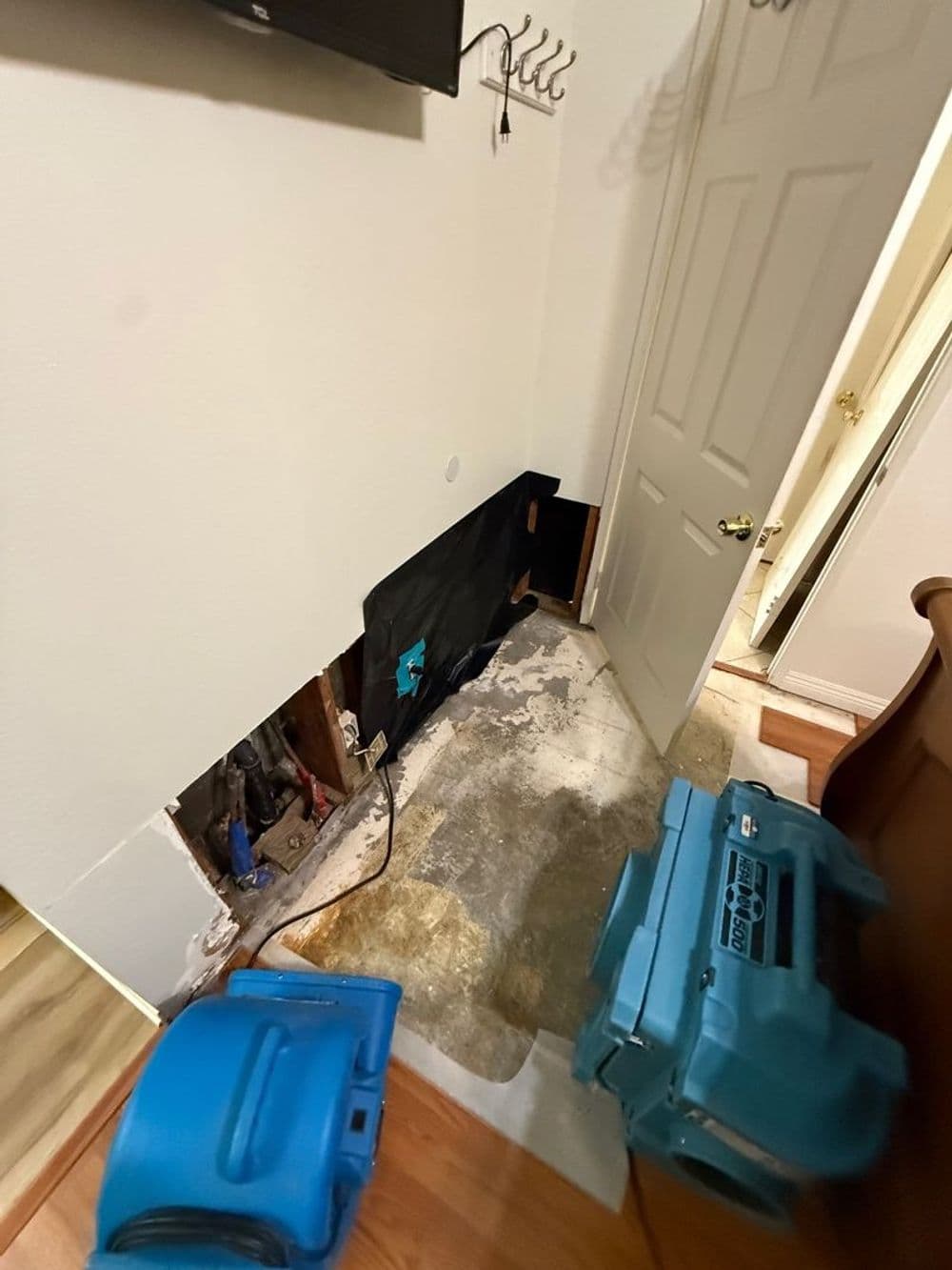 Rapid Sewage Cleanup in Upland image